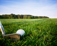Golf Club with Ball